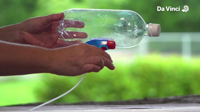 Newts - A Swampy Mess