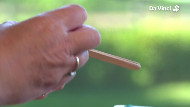 Newts - The Changing Moon