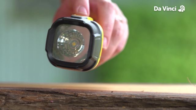 Newts - Awake at Night