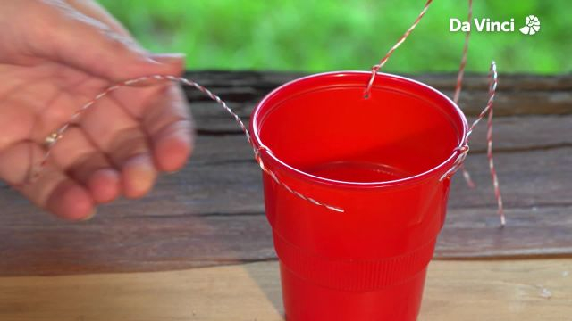 Newts - Pumpkin Pulley