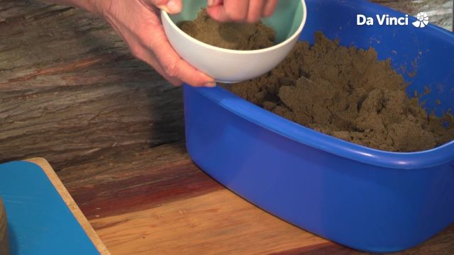 Newts - Sands and Tides